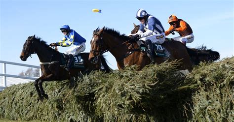 longest odds grand national winner